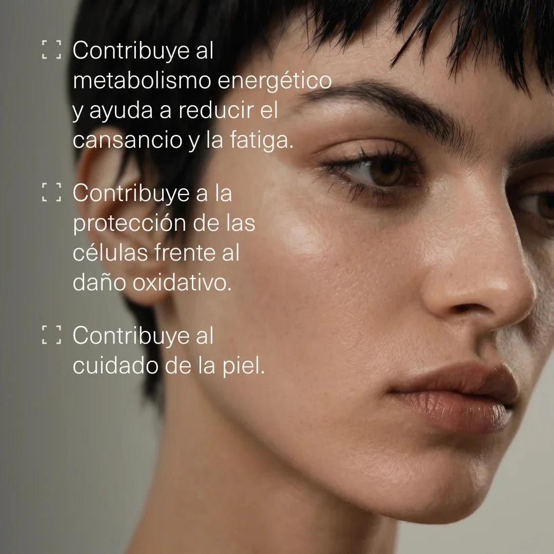 Pack Piel - Image 7
