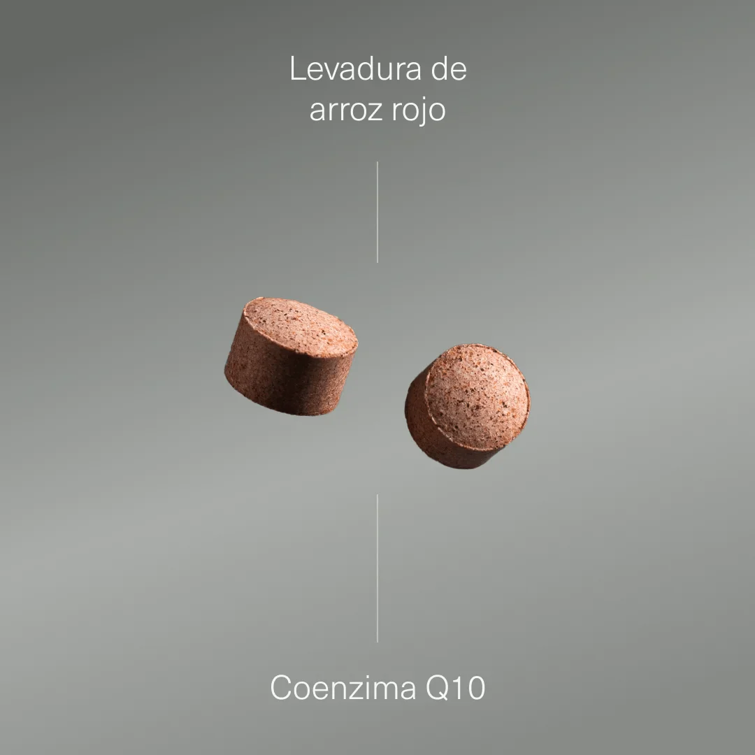 Levadura de Arroz Rojo con Coenzima Q10 - Image 3