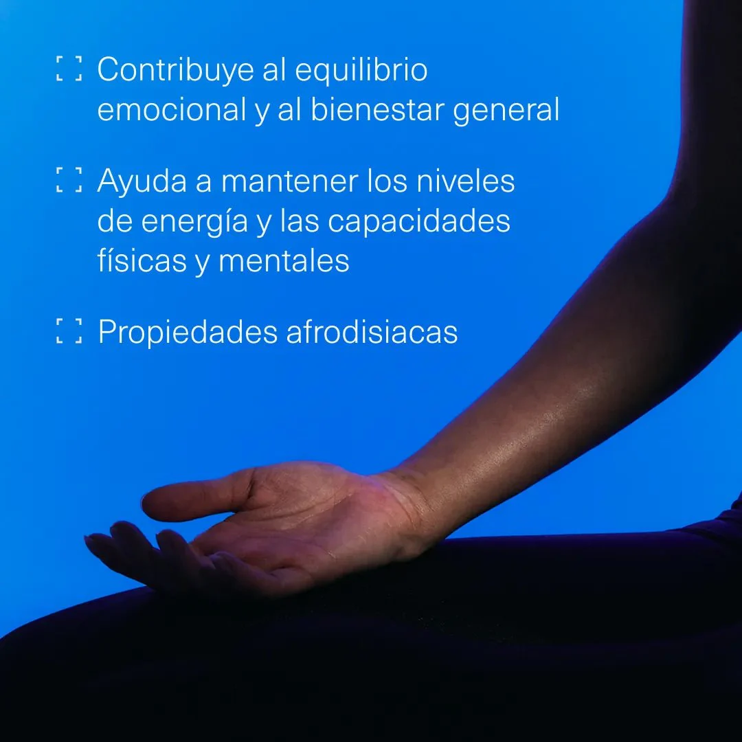 Pack Fertilidad Masculina - Image 7