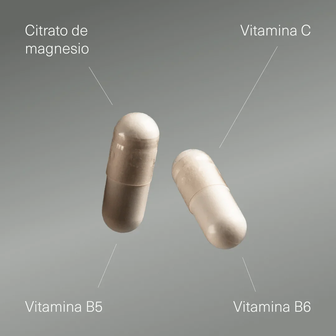 Pack Deporte: Resistencia - Image 4