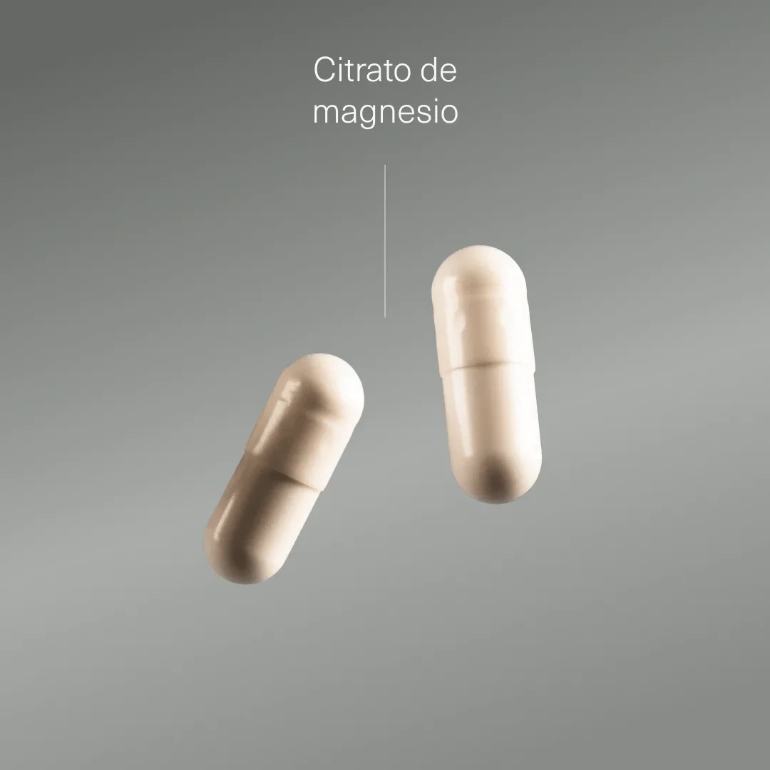 Pack Huesos - Image 4