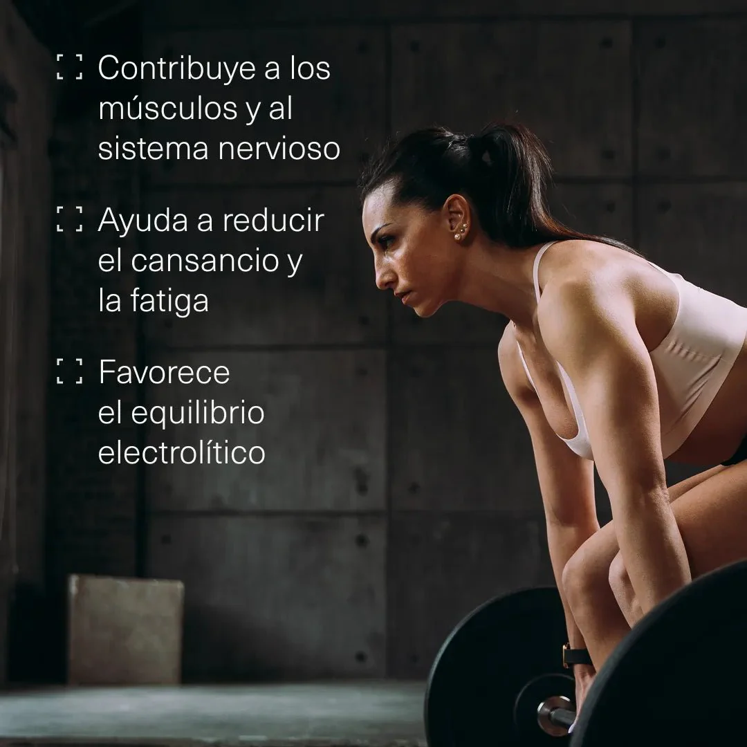 Pack Huesos - Image 5
